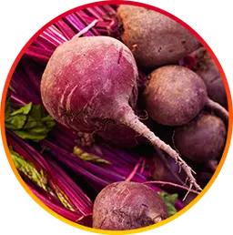 Betaine Ingredient